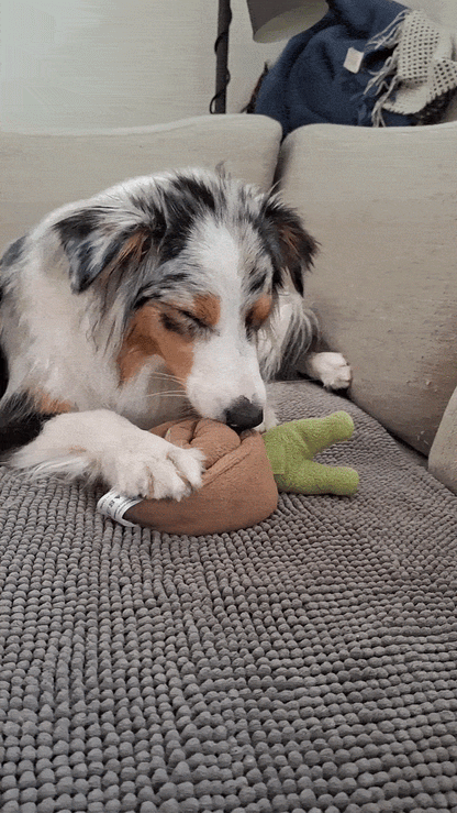 The Snail — Snuffle Puzzle Toy